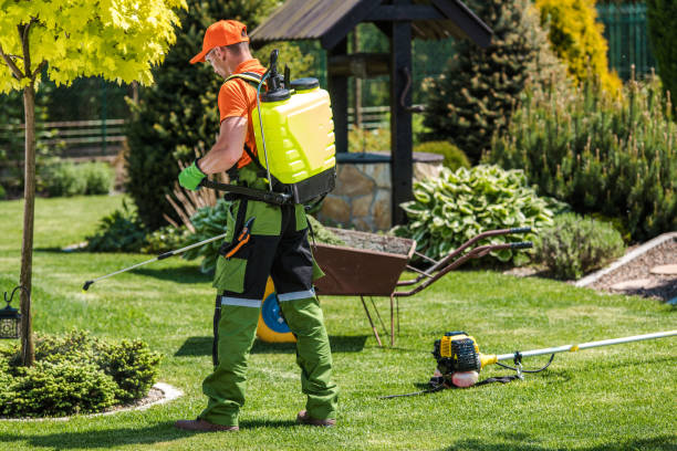 Seasonal Pest Control in Bellevue, IL